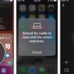 Siri Not Working On Iphone 16
